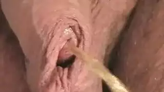 جنس شرجي كلاسيكي لـ أم فرنسية مشعرة