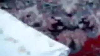 سكس منزلي بغدادي: الزوجة تتوسل للسائل المنوي بينما الزوج يصور