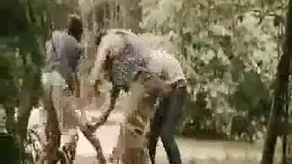 big black dick porn: a hung stud takes control