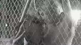 ساكس نيك بنات صغار 5سنوات