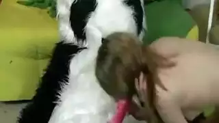 حصان قصير تزوج حيوانe4gvx2omz4iz