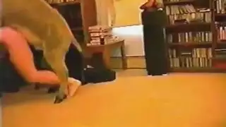 بورنو الوحش: فتاة صغيرة تأخذ قضيب الحمار بعمق