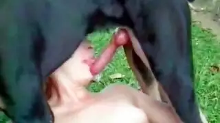 أفلام جنس مع حيوانات xxx: تتوق لقضيب كلب غليظ