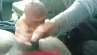 خليجية مفرد