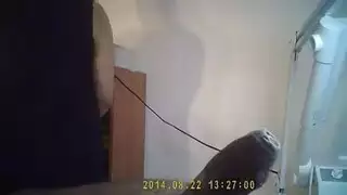 فحلك بسريه