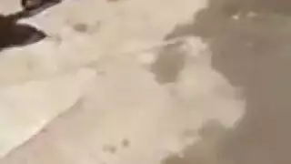 ملكات الشرج تتعرى وتتمتع جنسياً على المسرح