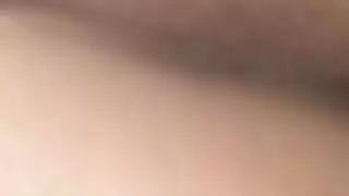 هذه المعاول اليابانية تحب أن تدفع لركوب الدببة