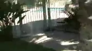 تحميل بورنو كرتون – مشاهد ثلاثية مثيرة