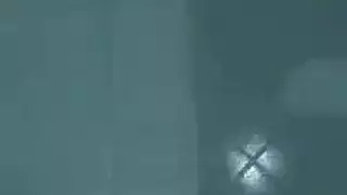 العضو التناسلي النسوي بوف اللسان بحار