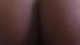 الهرة الكبيرة أقدام مثقوب الهرة