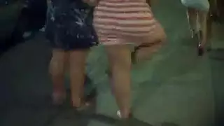 حصان مع مراه