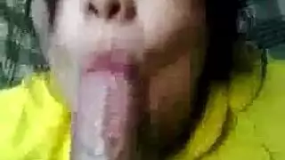 plump pussies and big asses in action