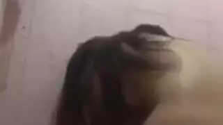 قضيب الشاب المصري الكبير يمط فرج حبيبته في نيك رومانسي