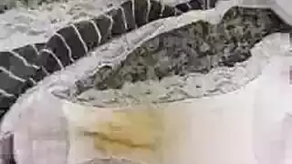 فني سمنة أربعة بالإصبع