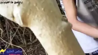 جنس في الحديقة: شاب مصري يملأ فرج صديقته المبلول بقوة